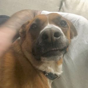 Meet your Posher, Miranda